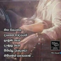 Profile photo of sameera niroshan