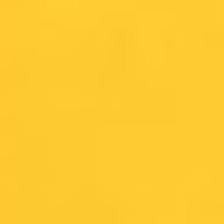 Profile photo of Kacey