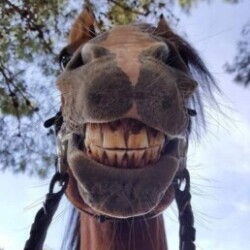 Profile photo of Ruwan