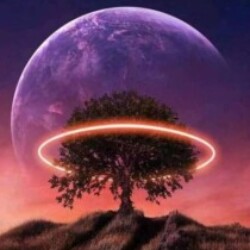 Profile photo of Pawan madusanka