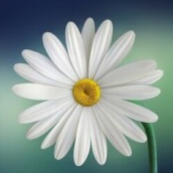 Profile picture of Supun