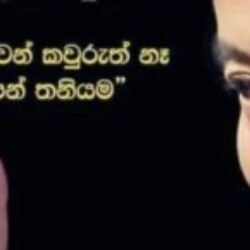 Profile photo of chamis