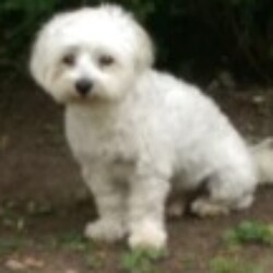 Profile photo of Mark