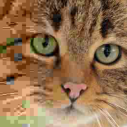 Profile photo of max