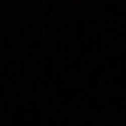 Profile photo of Dhjk