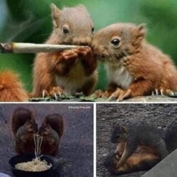 Profile photo of Chthuranga