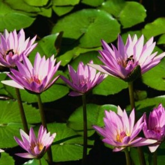 Profile photo of Jana