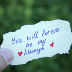 Profile photo of Nayeli