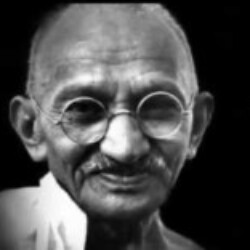 Profile photo of Himal nanayakkara