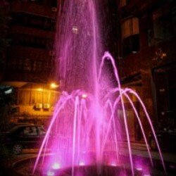 Profile photo of Kasun