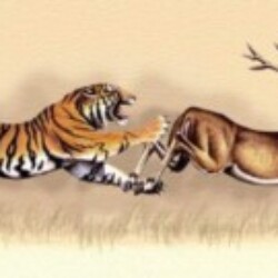 Profile photo of Vinodh solomon