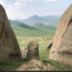 Profile photo of Saman