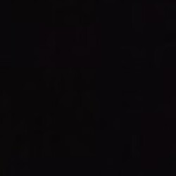 Profile photo of Silva