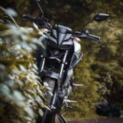 Profile photo of Mrrider