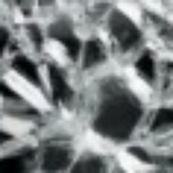 Profile photo of Perera