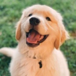 Profile photo of kasun