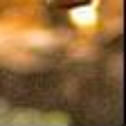 Profile photo of Nimal Perera