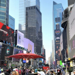 Profile photo of Samantha Fernando