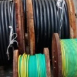 Profile photo of Sanka