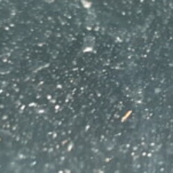 Profile photo of Aqil