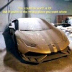 Profile photo of Shanthos