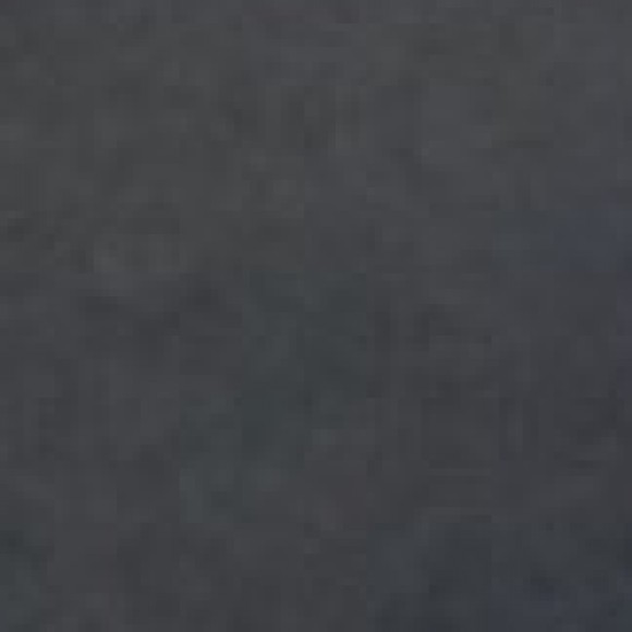 Profile photo of Harsha