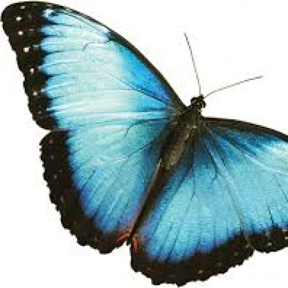 Profile photo of tharaka sub