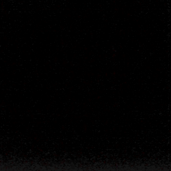 Profile photo of bob