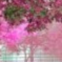 Profile photo of Jana