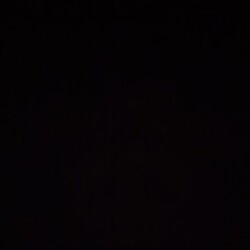 Profile photo of Nera