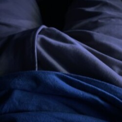 Profile photo of Top daddy
