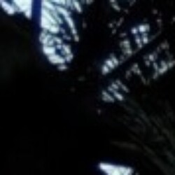 Profile photo of Lakiya