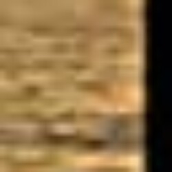 Profile photo of chamila