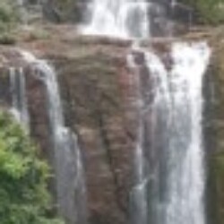 Profile photo of Guest 3978