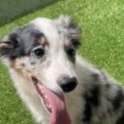 Profile photo of Mike