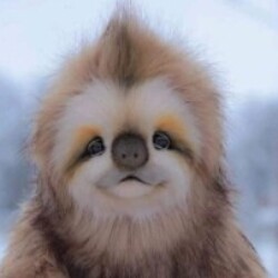 Profile photo of Shane