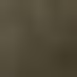 Profile photo of Shane Dilz