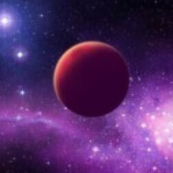 Profile photo of Ela Kollek