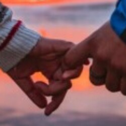 Profile photo of Gihan bandara