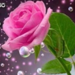 Profile photo of Ranga