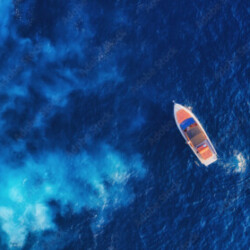 Profile photo of Rohan