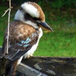 Profile photo of donor