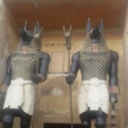 Profile photo of Star