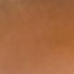 Profile photo of Kasun8318