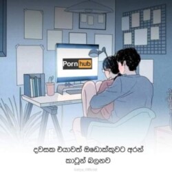 Profile photo of Nadun Udayanga