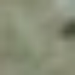 Profile photo of Ramesh Goonarathna