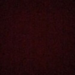 Profile photo of Shane