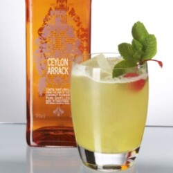 Profile photo of Indika