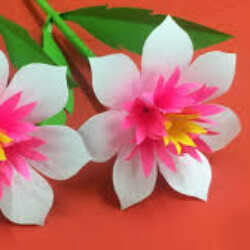 Profile photo of Ameen