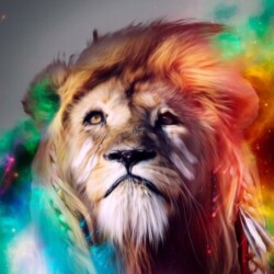 Profile photo of Chalana